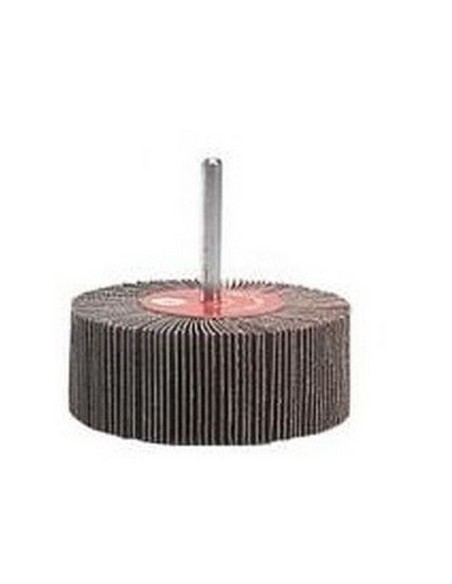 CEPILLO CON EJE FLW FWS 40X30 KX310 FLX P60 6MM SK(C)