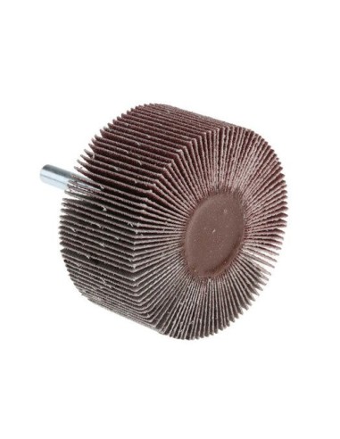 CEPILLO CON EJE FLW FWS 50X30 KX310 FLX P80 6MM SK(C)