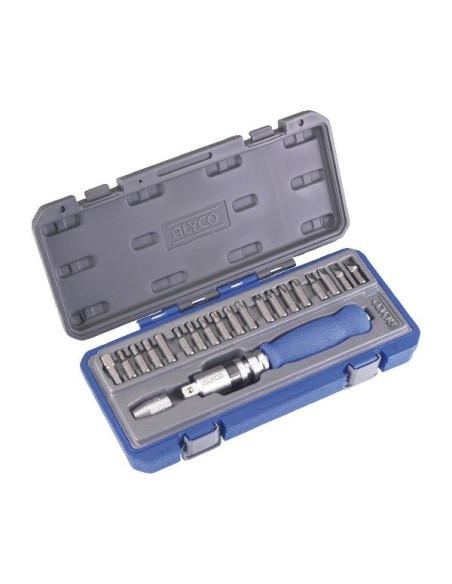 JUEGO.DESTORNILLADOR DE GOLPEO (21 PIEZAS)