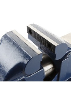 TORNILLO DE BANCO GUIA REDONDA 100 MM 2