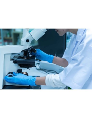 GUANTE DESECHABLE NITRILO AZUL SIN POLVO NA35 TALLA S (CAJA 100)