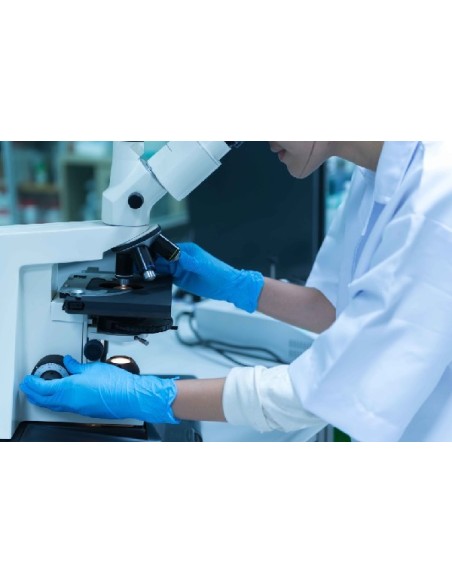 GUANTE DESECHABLE NITRILO AZUL SIN POLVO NA35 TALLA XL (CAJA 100)