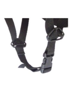 BARBUQUEJO CASCO TERANO 